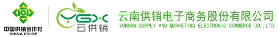 球速体育电子商务股份有限公司